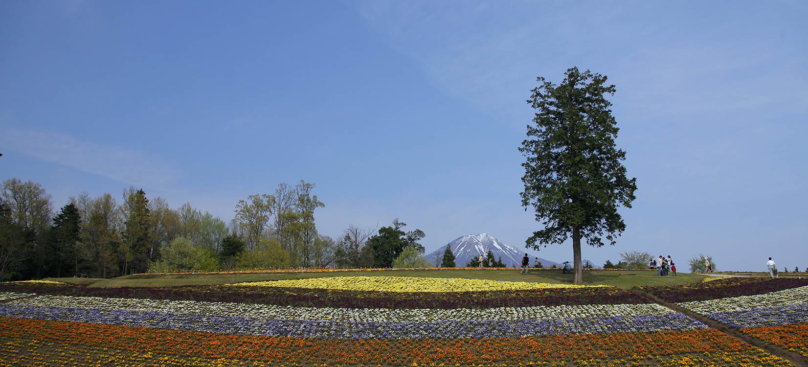 鳥取県南部町のとっとり花回廊