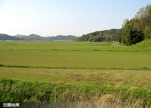 田園地帯