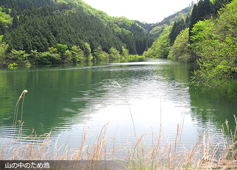 山の中のため池