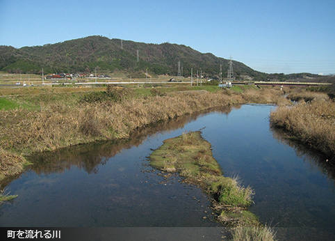 町を流れる川