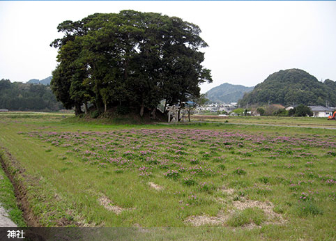 町を流れる川