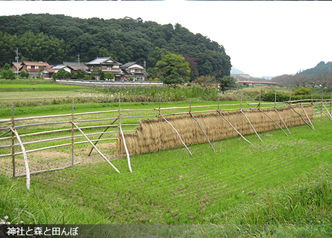 町を流れる川