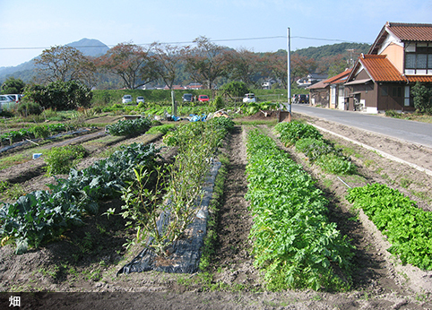 町を流れる川