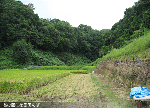 町を流れる川